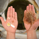 The cyborg stingray (left) compared to the real thing. (Image: Karaghen Hudson)